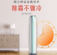格力除霜不骤冷的分体空调是什么来头