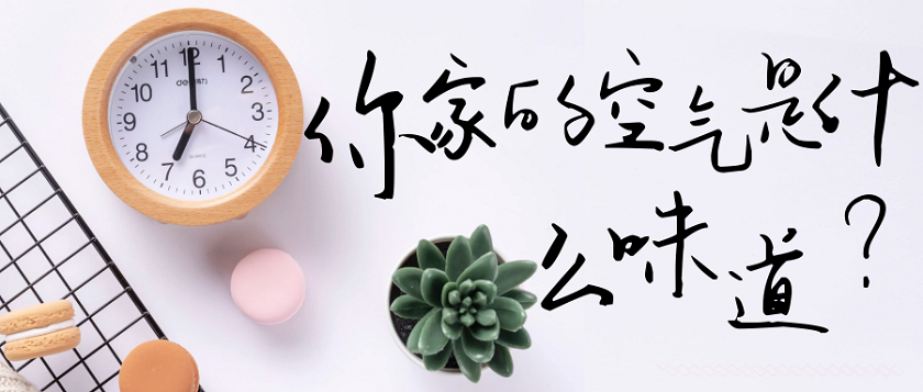 你家的空气是什么味道,格力风无界分体空调,开启您的夏日宅家总动员