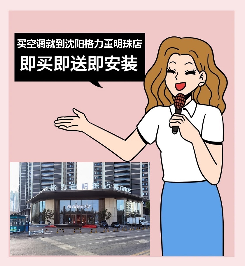 对了，买家用分体空调，就到沈阳格力董明珠店，即买即送即安装