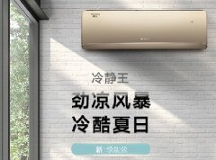 新国标-格力冷静王壁挂式家用分体空调器-劲凉风暴 冷酷夏日