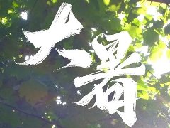 已是中伏,暑气正盛,选择格力家用(中央)分体空调避暑,即买即送即安装