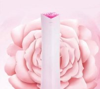 一台情知冷暖,为爱绽放的新国标立式分体空调-格力玫瑰,爱TA就送TA