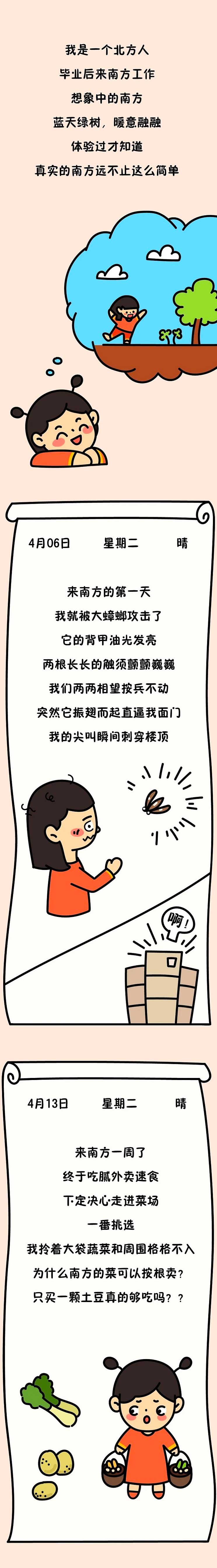 我是一个北方人，毕业后来南方工作，想象中的南方，蓝天绿树，暖意融融，体验过才知道，真实的南方远不止这么简单。来到南方的第一天，我就被大蟑螂攻击了，它背甲油光发亮，两根长长的触须颤颤巍巍，我们两两相望按兵不动，突然它震翅而起直逼我面门，我的尖叫瞬间刺穿楼顶——啊！来南方一周了，终于吃腻外卖速食，下定决心走进菜场，一番挑选，我拎着大袋蔬菜和周围格格不入，为什么南方的菜可以按根卖？只买一个土豆真的够吃吗？